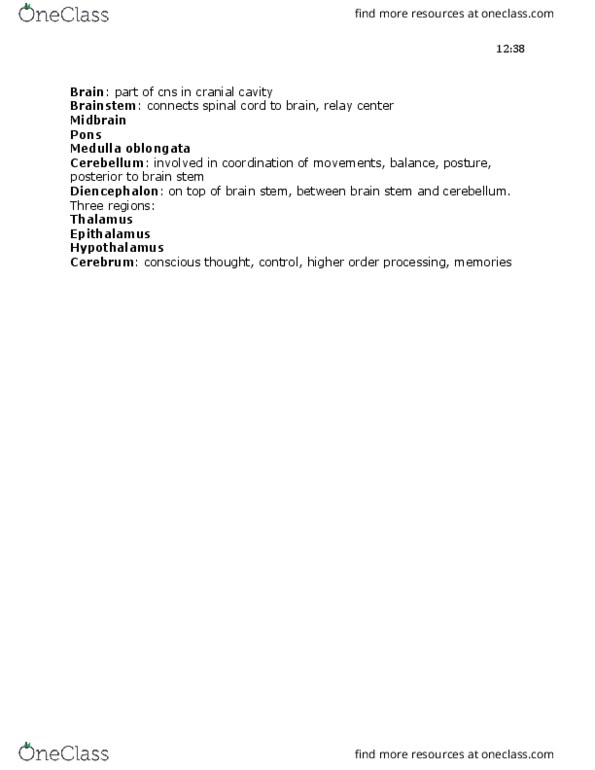 KINESIOL 1A03 Lecture Notes - Lecture 5: Libido, Respiratory Center, Lateral Geniculate Nucleus thumbnail