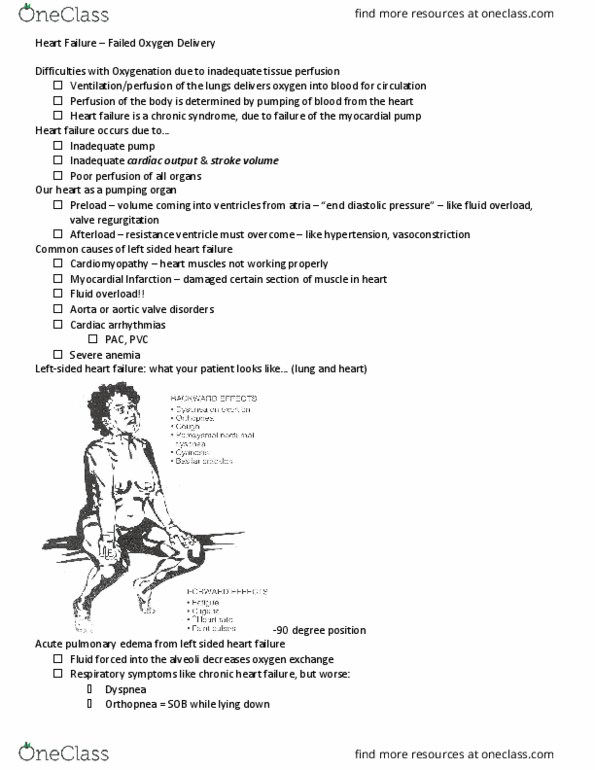 NURS 3234 Lecture Notes - Lecture 17: Digoxin, Perspiration, Ace Inhibitor thumbnail