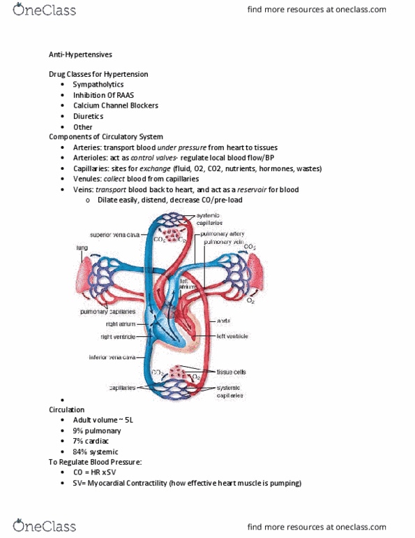NURS 3220 Lecture Notes - Lecture 16: Hyperglycemia, Inotrope, Doxazosin thumbnail