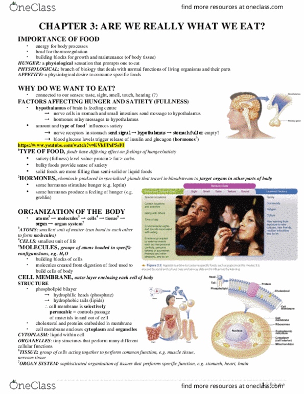 FNN 111 Lecture Notes - Lecture 3: Gastric Acid, Portal Vein, Helicobacter Pylori thumbnail