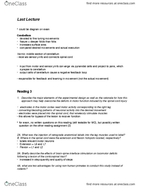 NEUR 3200 Lecture Notes - Lecture 23: Cerebellum thumbnail