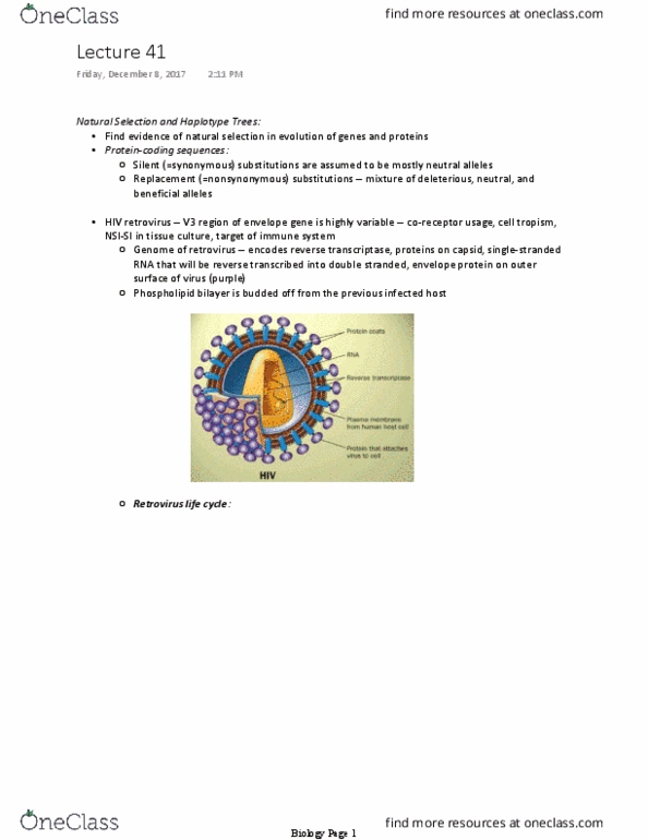 L41 BIOL 2970 Lecture Notes - Lecture 41: Lysine, Arginine, Familial Mediterranean Fever thumbnail