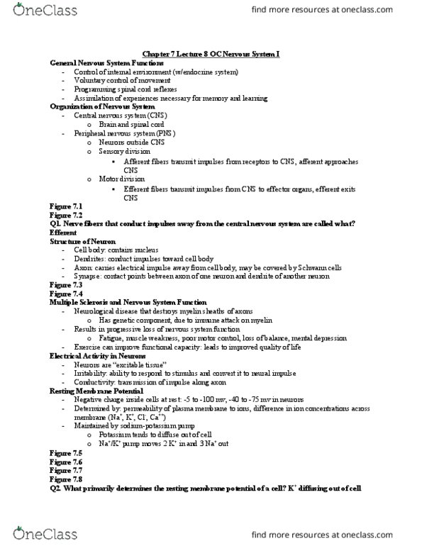 EHS 385 Lecture Notes - Lecture 8: Neurotransmitter, Muscle Spindle, Intrafusal Muscle Fiber thumbnail