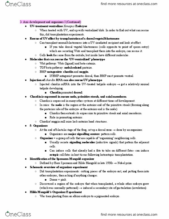 ANAT 381 Lecture Notes - Lecture 12: Intermediate Mesoderm, Situs Inversus, Insitu thumbnail