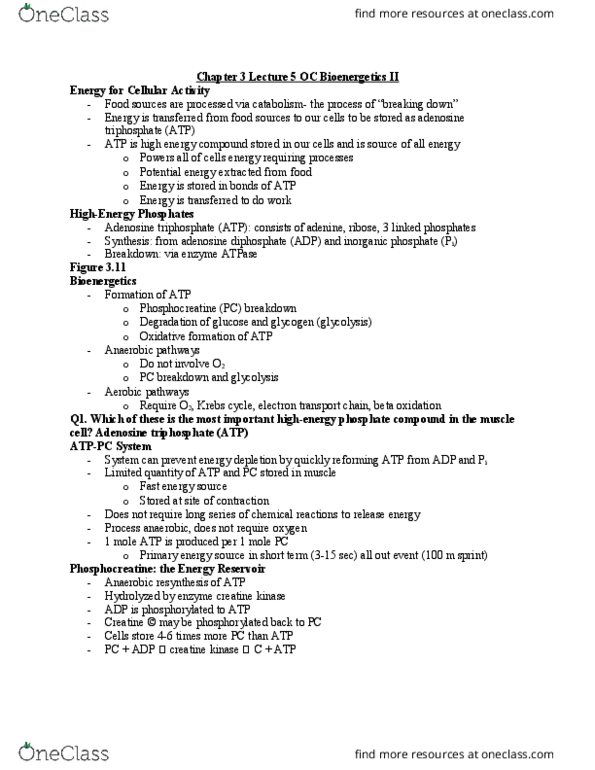 EHS 385 Lecture Notes - Lecture 5: Pyruvic Acid, Digestion, Adenylate Kinase thumbnail