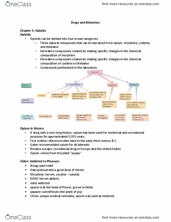 Psychology 2020A/B Lecture Notes - Lecture 6: Dizziness, Peyote, Short-Term Memory thumbnail