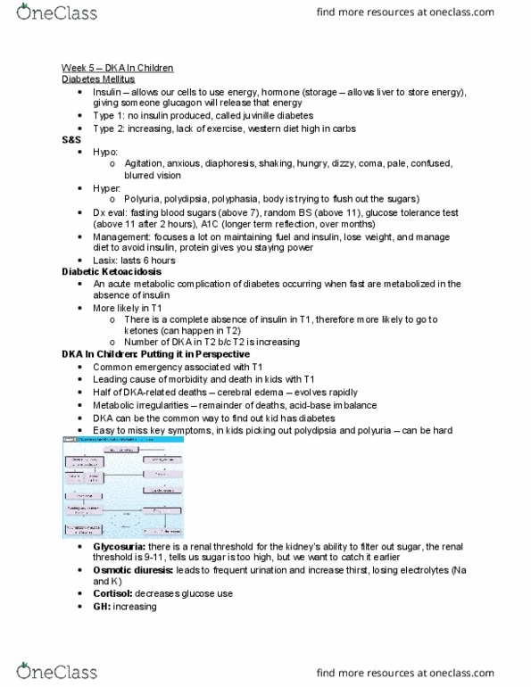 Nursing 4400A/B Lecture Notes - Lecture 5: Metabolic Acidosis, Hyperkalemia, Ketosis thumbnail