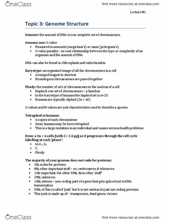 Biology 1201A Lecture Notes - Lecture 1: Telomere, Intron, Centromere thumbnail