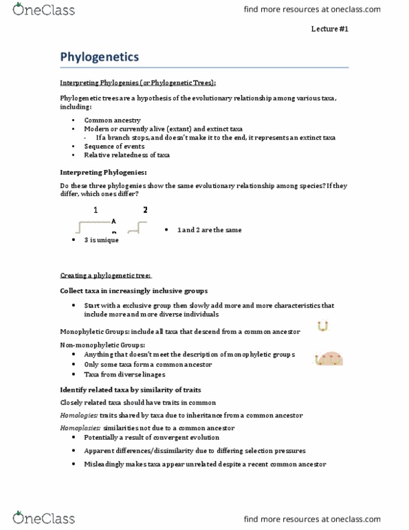 Biology 1201A Lecture Notes - Lecture 1: Phylogenetic Tree, Common Descent, Phylogenetics thumbnail