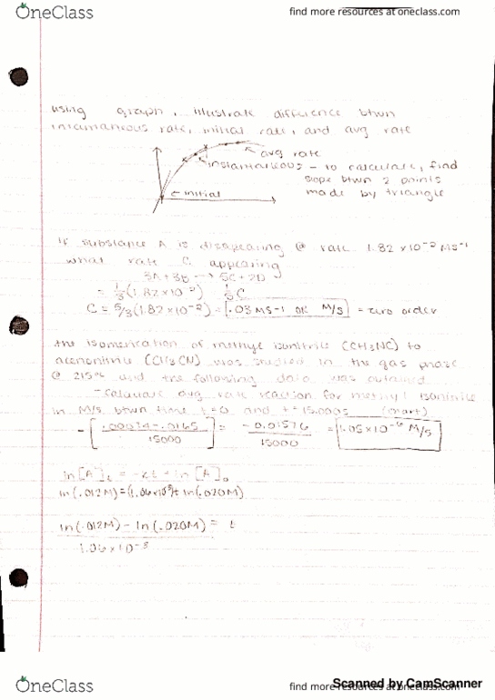 CHEM 178 Lecture Notes - Lecture 15: Horse Length thumbnail