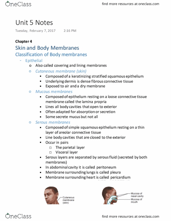 BIOM 2000 Chapter 4: Unit 5 Notes (Online Class) thumbnail