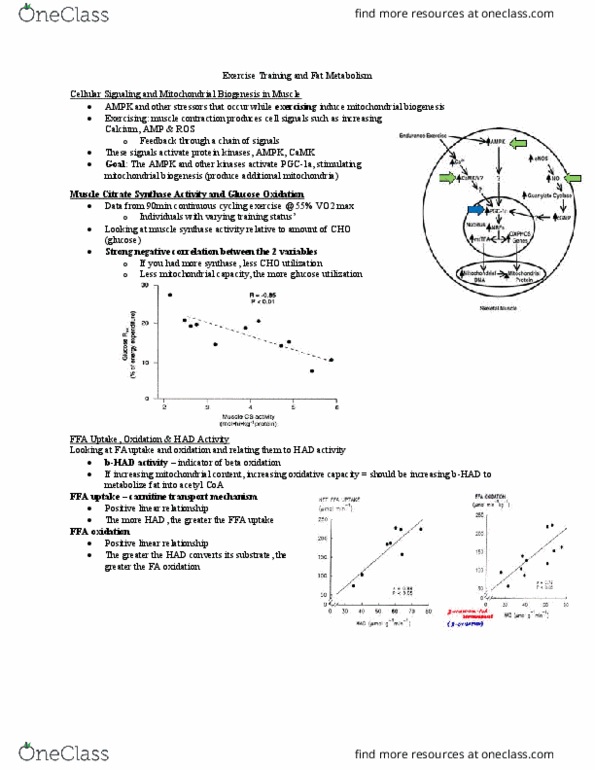 Kinesiology 4430F/G Lecture 11: 11 Exercise Training and Fat Metabolism thumbnail