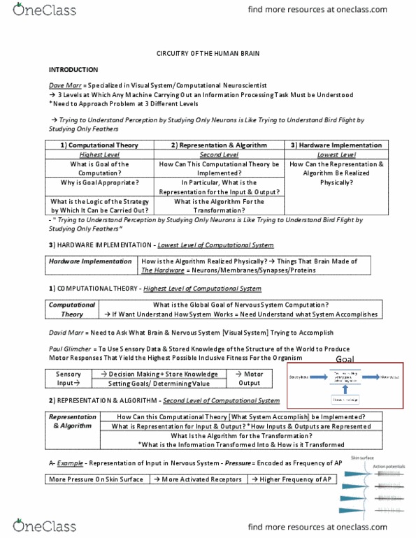 ANAT 321 Lecture Notes - Lecture 1: Unimodality, Peripheral Nervous System, Capsaicin thumbnail