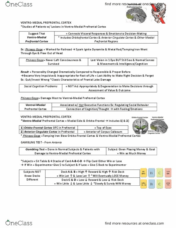 ANAT 321 Lecture Notes - Lecture 22: Thermostat, Brainstem, Midbrain thumbnail