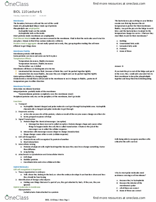 BIOL 11000 Lecture Notes - Lecture 5: Facilitated Diffusion, Ion Transporter, Active Transport thumbnail