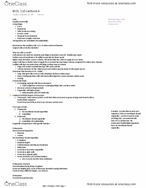 BIOL 11000 Lecture Notes - Lecture 4: Nucleolus, Dna Replication, Lipid Bilayer thumbnail