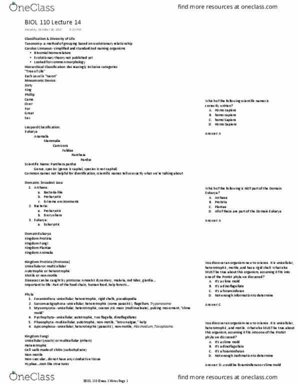 BIOL 11000 Lecture Notes - Lecture 14: Notochord, Chordate, Sponge thumbnail