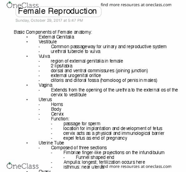 VIBS 305 Lecture Notes - Lecture 13: Inferior Vena Cava, Renal Vein, Ovarian Vein thumbnail