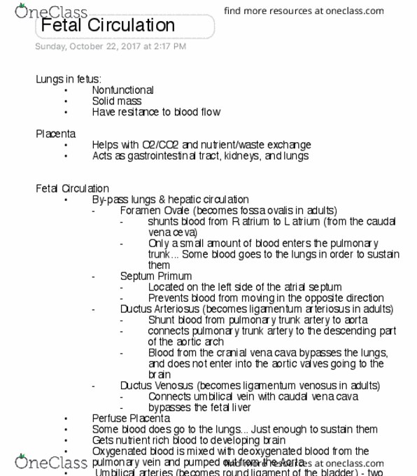 VIBS 305 Lecture Notes - Lecture 16: Inferior Vena Cava, Ductus Venosus, Ductus Arteriosus thumbnail