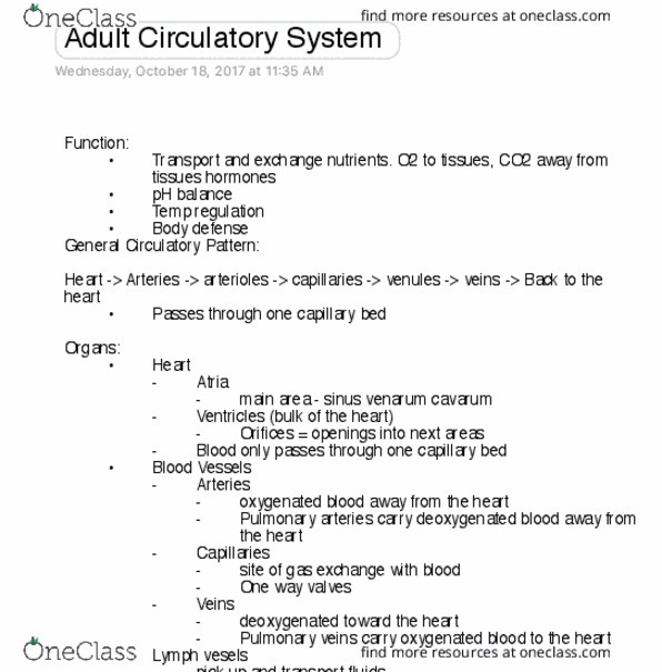 VIBS 305 Lecture Notes - Lecture 17: Inferior Vena Cava, Heart Valve, Papillary Muscle thumbnail