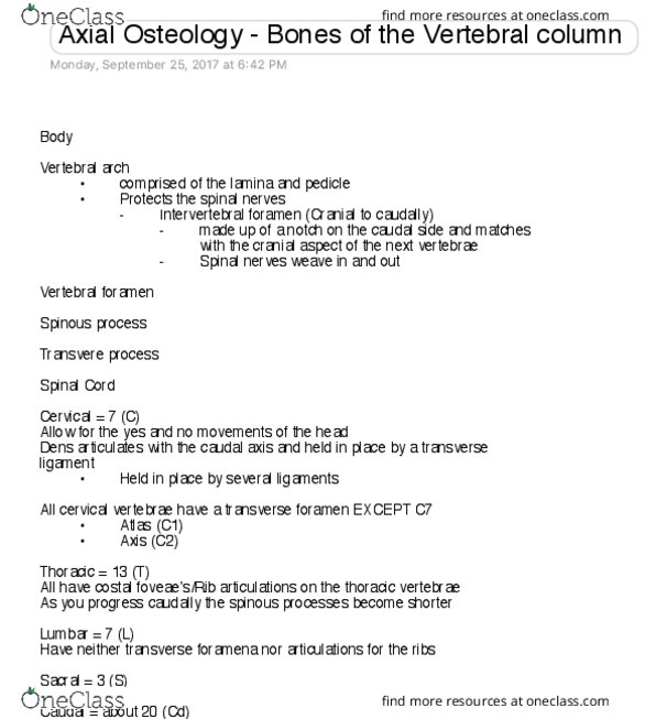 VIBS 305 Lecture Notes - Lecture 5: Costal Cartilage, Vertebra, Spinal Canal thumbnail