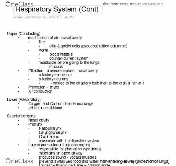 VIBS 305 Lecture Notes - Lecture 8: Thoracic Cavity, Pleural Cavity, Intercostal Muscle thumbnail