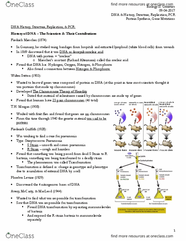 BIOL 304 Lecture Notes - Lecture 1: Signal Peptide, Hiv, Rna Splicing thumbnail