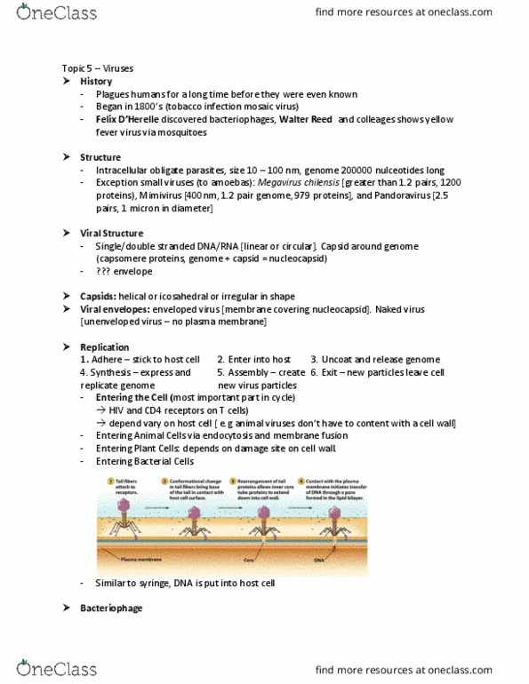 BIOL240 Lecture Notes - Lecture 5: Titer, Lethal Dose, Ribonuclease thumbnail