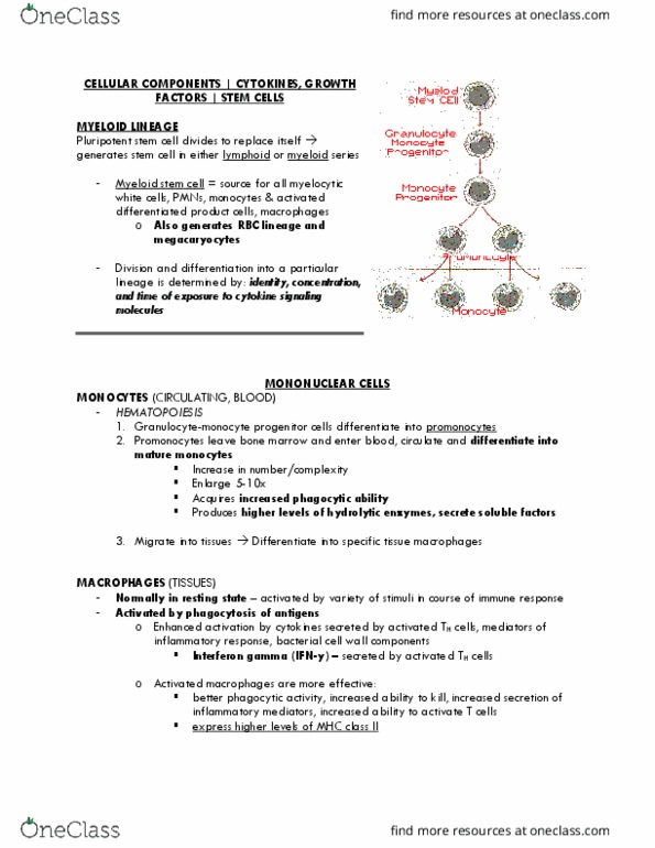 BIO 447 Lecture Notes - Lecture 8: Lysosome, Phagolysosome, Pseudopodia thumbnail
