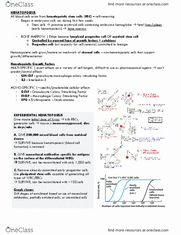 BIO 447 Lecture Notes - Lecture 9: Selectin, Caspase, Monocyte thumbnail
