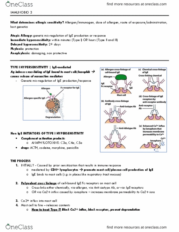 BIO 447 Lecture Notes - Lecture 10: Interleukin 4, Phospholipid, Interleukin 3 thumbnail