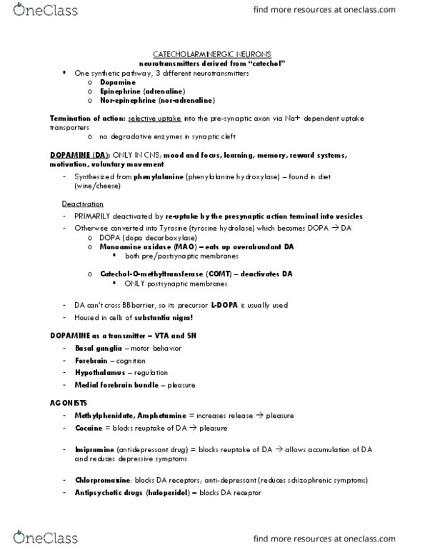 PSY 315 Lecture Notes - Lecture 6: Caudate Nucleus, Prolactin, Tropolone thumbnail