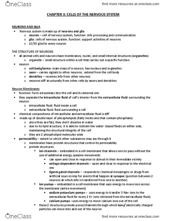 PSYB64H3 Chapter 3: Detailed Textbook Notes - Chapter #3 thumbnail