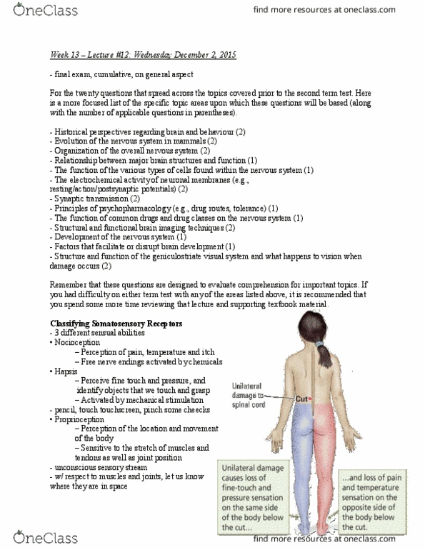 PSYB65H3 Lecture Notes - Lecture 12: Etiology, Neurology, Grand Mal (New York City Band) thumbnail