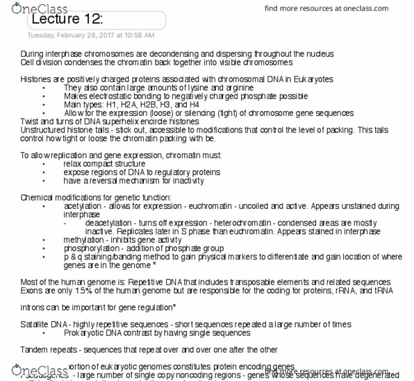 GENE 320 Lecture Notes - Lecture 12: Open Reading Frame, Phosphodiester Bond, Pyrimidine thumbnail