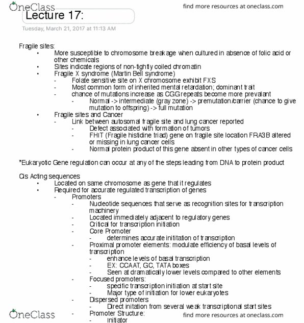 GENE 320 Lecture Notes - Lecture 17: Myotonic Dystrophy, Five-Prime Cap, Galactose thumbnail