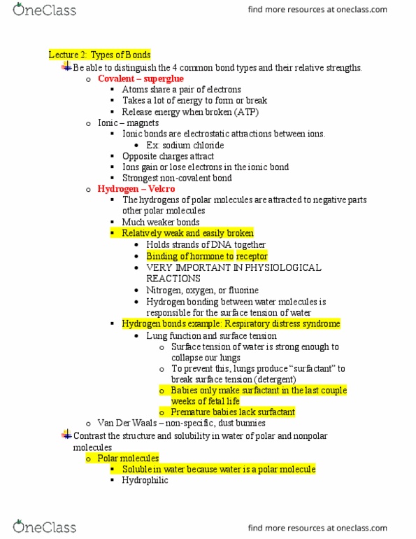 BISC276 Lecture Notes - Lecture 6: Critical Role, Biomolecule, Beta Sheet thumbnail