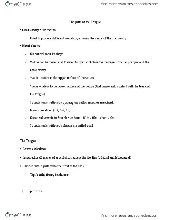 LIN228H5 Lecture Notes - Lecture 5: Postalveolar Consonant, Laminal Consonant thumbnail