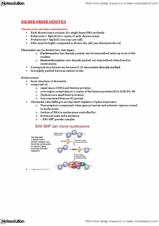 BMS1062 Chapter : BMS1062: Molecular Biology: Higher order genetics + Transcription and RNA processing thumbnail