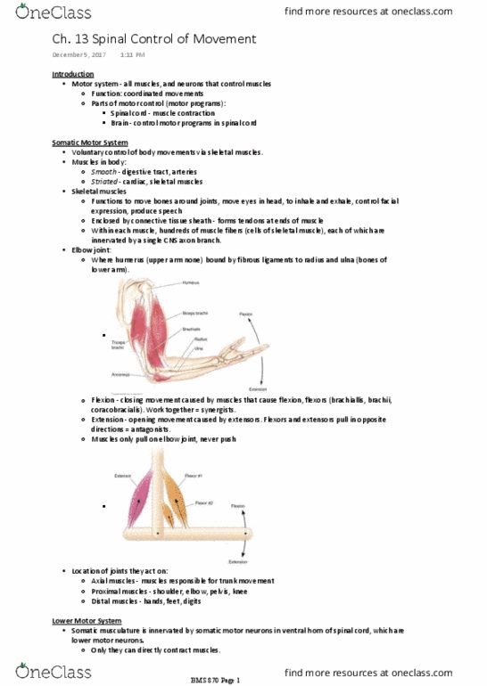 BMS 870 Lecture Notes - Lecture 19: Dorsal Root Ganglion, Motor Unit, Neuromuscular Junction thumbnail