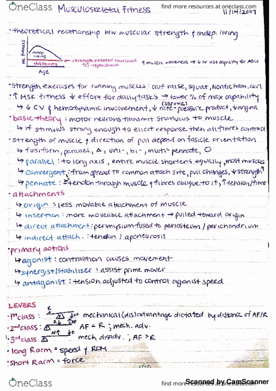 KINE 3400 Lecture 9: f9 thumbnail