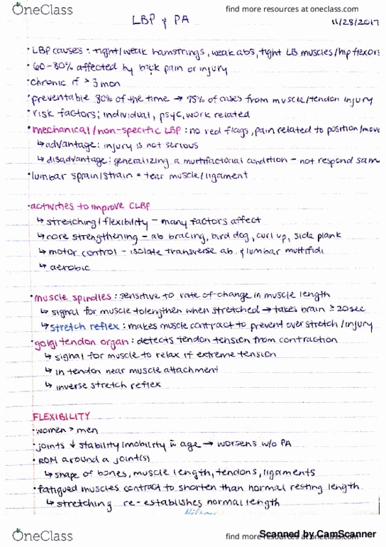 KINE 3400 Lecture 12: f12 thumbnail