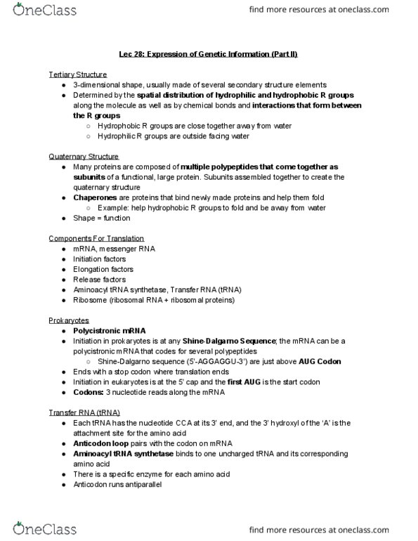 BIOA01H3 Lecture Notes - Lecture 28: Nuclear Pore, Internal Ribosome Entry Site, Hydrolysis thumbnail