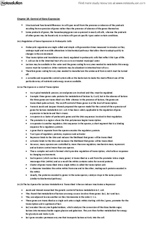 BIOA01H3 Chapter Notes - Chapter 14: Acetyl Group, Histone H2B, Lysine thumbnail