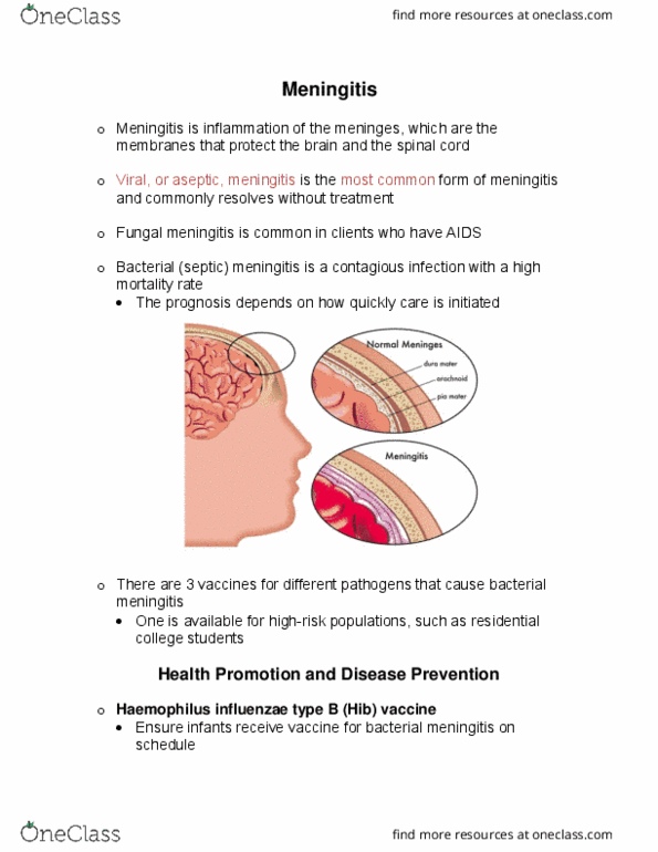 document preview image