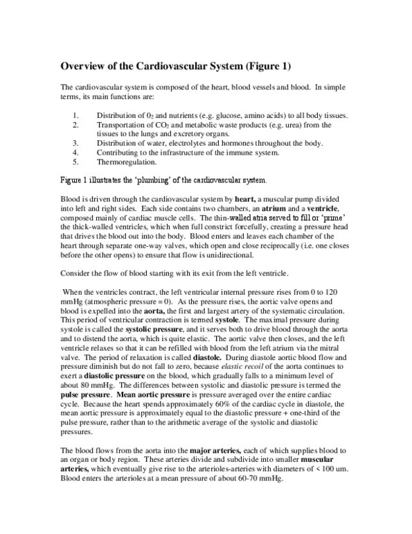 BIOC63H3 Chapter Notes -Cardiac Muscle Cell, Vascular Smooth Muscle, Aortic Body thumbnail