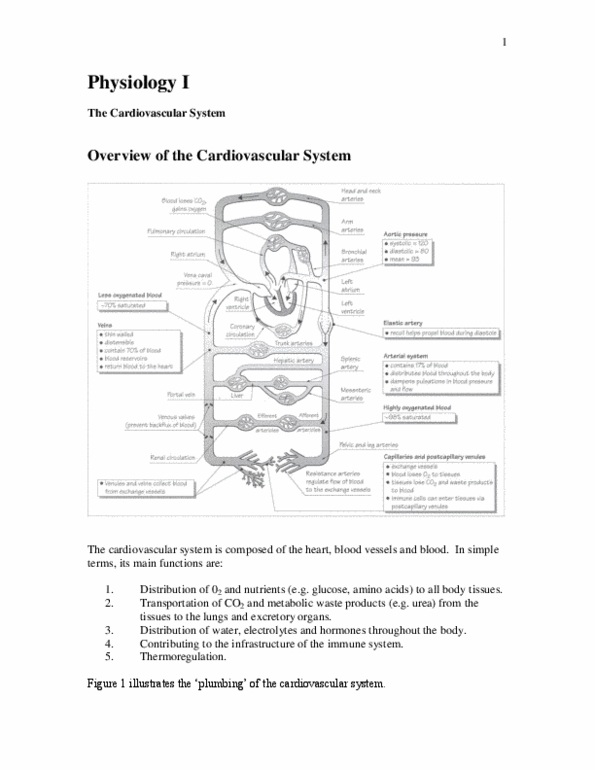 BIOC63H3 Chapter Notes -Diastole, Capillary, Lymphoblast thumbnail