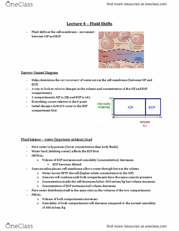 Physiology 3120 Lecture Notes - Lecture 4: Duodenum, Solution, Lymphatic System thumbnail