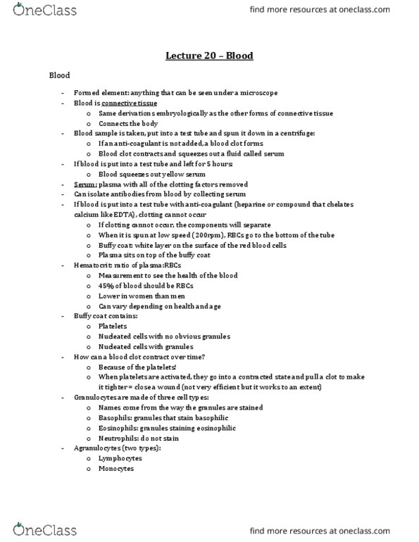 Anatomy and Cell Biology 3309 Lecture Notes - Lecture 20: Glycogen, Megakaryocyte, Uvea thumbnail