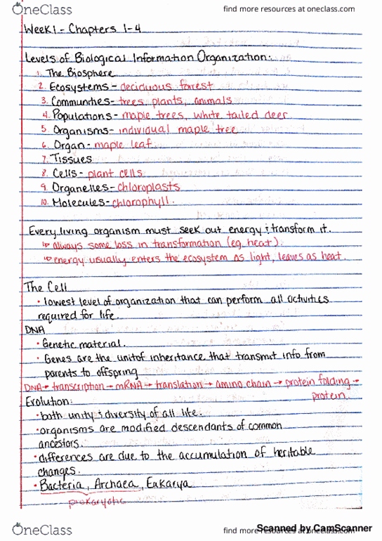 BIOL 102 Lecture 1: Biology 102 Notes - all lectures thumbnail